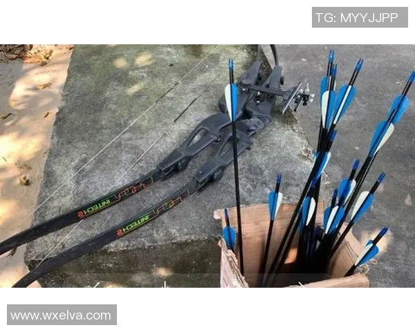 南京攀岩队战术解析：从训练到比赛的全方位策略探讨