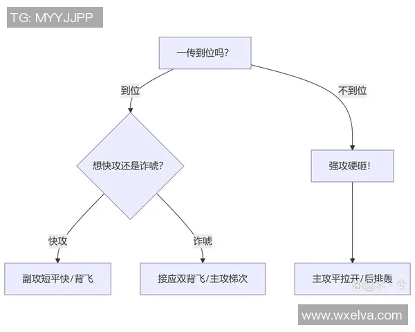 南京排球队战术解析与比赛策略深度剖析