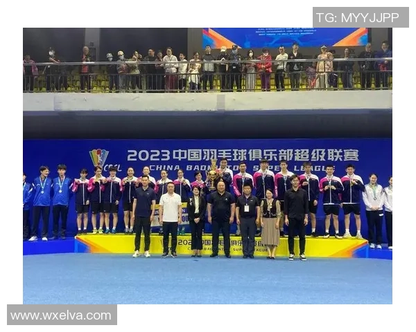 南京羽毛球队在冠军赛中的灵活性表现分析与总结